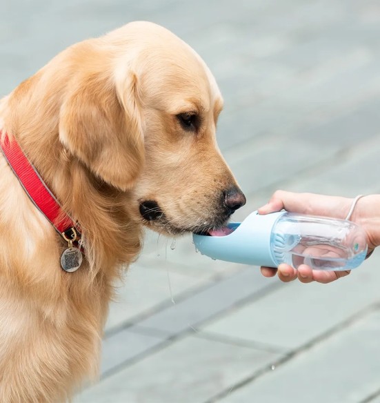 Koera joogipudel, 400 ml kaasaskantav pudel koerale värske vee pakkumiseks Dog Capsule Bottle (Dogness)