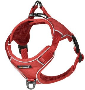 Сетчатая шлейка для собак, красная (Red Dingo) – Текстильные шлейки – Red Dingo – Valgekihv