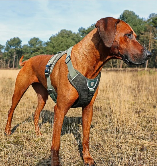 Tirimisvastased koera traksid, ergonoomilised, militaarroheline, EXPLOR Ultimate Fit Duvoplus