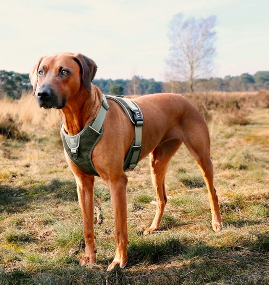 Tirimisvastased koera traksid, ergonoomilised, militaarroheline, EXPLOR Ultimate Fit Duvoplus