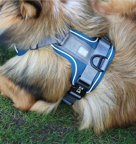 Корректирующая шлейка для собак, эргономичная,...