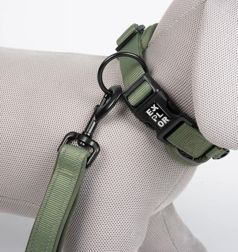 Koera kaelarihm, turvaline, militaarroheline,...