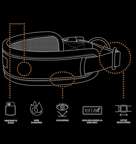 Koera kaelarihm, turvaline, petroolisinine,...