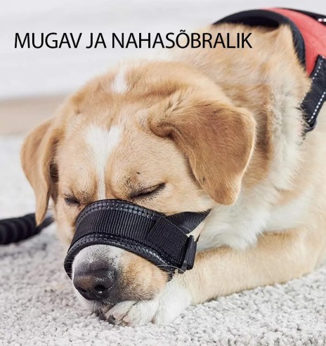 Polsterdusega suukorv koerale (Pawise)