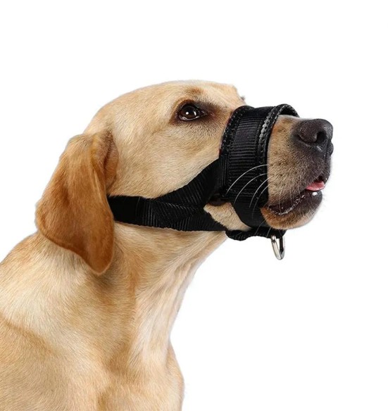 Polsterdusega suukorv koerale (Pawise)