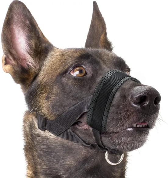 Мягкий намордник для собак (Pawise)
