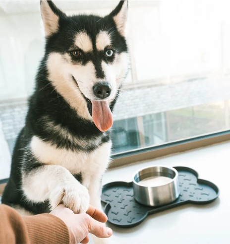 Koera ja kassi toidunõude alusmatt...