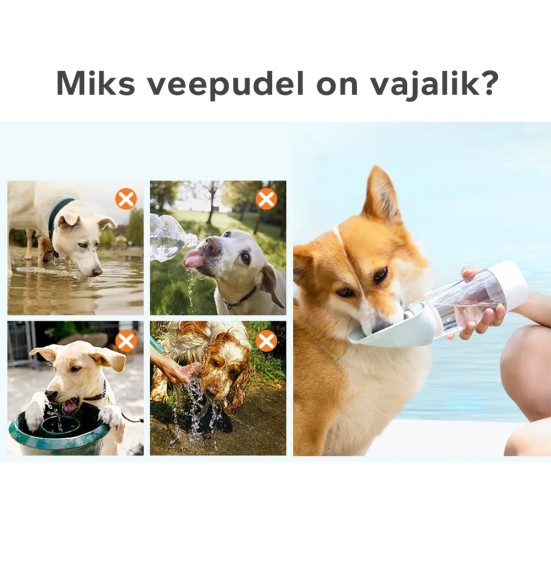 Поилка для собаки с силиконовой миской, 438 мл (Dogness)