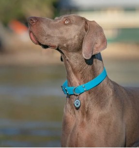 Keraamiline kauss Stone Deco Naranja (Duvoplus)–Kausid ja jooginõud–Duvoplus–Valgekihv 2