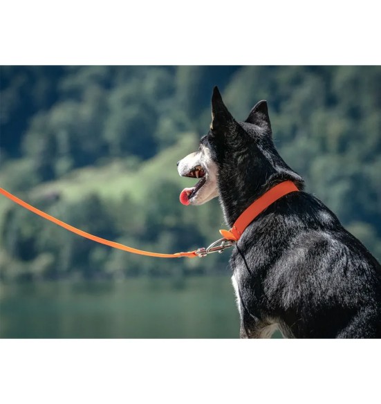 Поводок для собаки водонепроницаемый Vivid, оранжевый (Red Dingo)