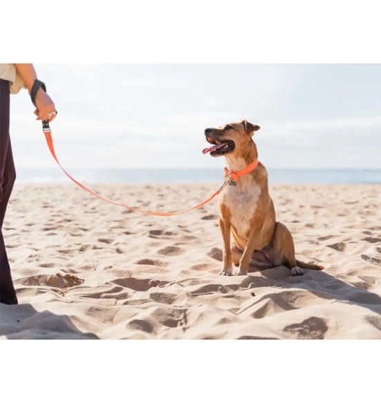 Koera jalutusrihm veekindel Vivid, oranž (Red Dingo)