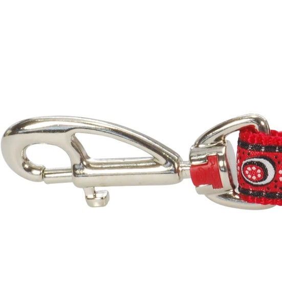 Jalutusrihm koerale, disainmustriga Cosmos Red (Red Dingo)