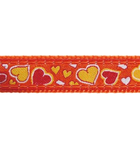 Поводок для собак с дизайнерским принтом Cosmos Red (Red Dingo) – Disainmustriga – Red Dingo – Valgekihv 2