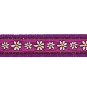 Нейлоновый поводок для собак Classic, 1.1–1.8 м, серый (Red Dingo) – Прогулочные поводки из текстиля – Red Dingo – Valgekihv 2