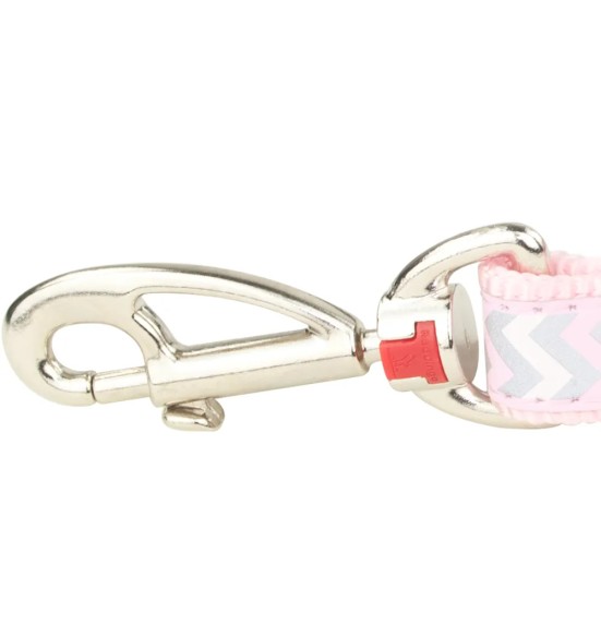 Jalutusrihm koerale, helkurmustriga Reflective Ziggy Pink (Red Dingo)