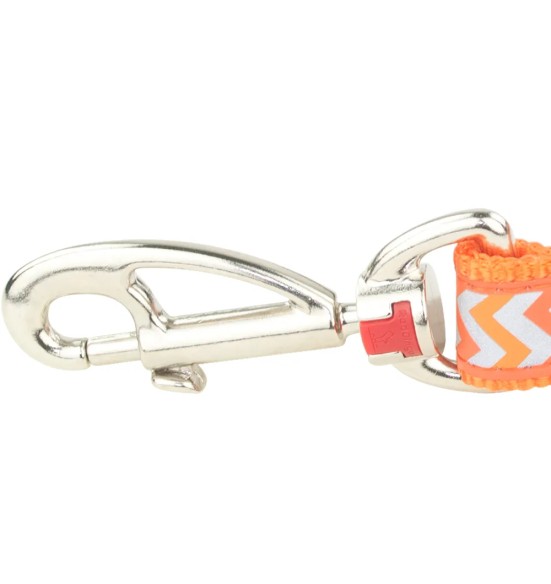 Jalutusrihm koerale, helkurmustriga Reflective Ziggy Orange (Red Dingo)