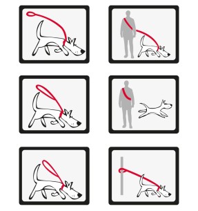 Поводок многофункциональный, со светоотражающим рисунком Reflective Bones Black (Red Dingo) – Многофункциональные прогулочные поводки – Red Dingo – Valgekihv 2