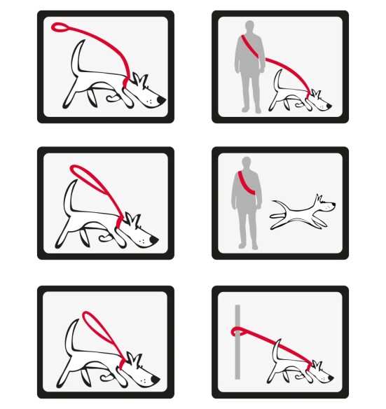 Multifunktsionaalne koera jalutusrihm, 6 kasutusviisi, must (Red Dingo)