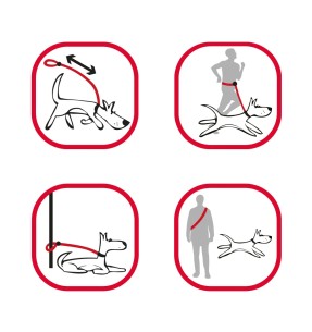 Multifunktsionaalne koera jalutusrihm, erk virsikuroosa SuperLead (Red Dingo)–Mitmefunktsioonilised–Red Dingo–Valgekihv 2