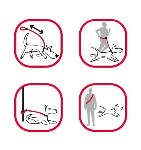 Multifunktsionaalne koera jalutusrihm, pruun...