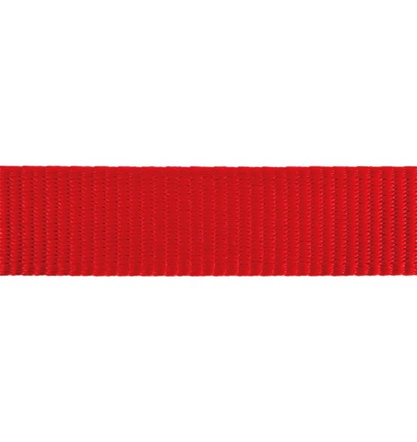 Tirimisvastased traksid koerale, punane (Red...