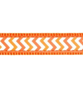 Ошейник для кошек с дизайнерским принтом Paw Impressions Red (Red Dingo) – Ошейники для кошек – Red Dingo – Valgekihv 2