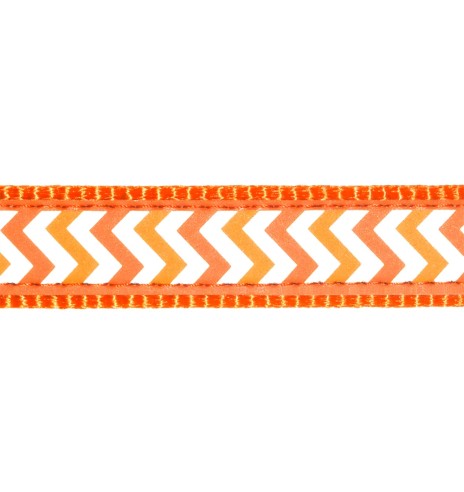 Ошейник для кошки со светоотражающим рисунком...