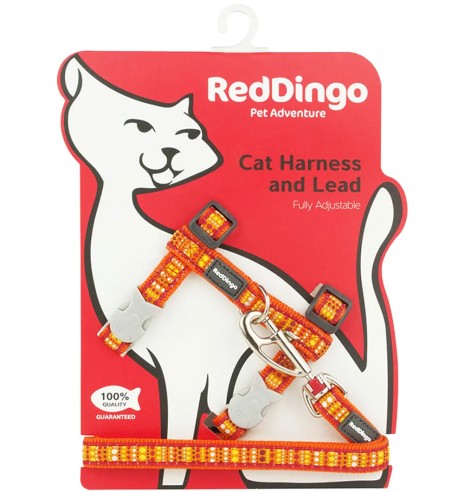 Kassitraksid ja jalutusrihm, disainmustriga...