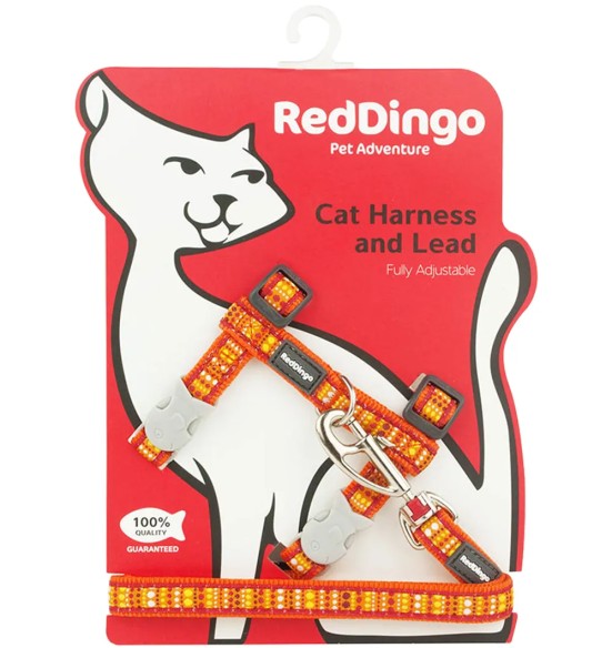 Kassitraksid ja jalutusrihm, disainmustriga Lotzadotz Orange (Red Dingo)