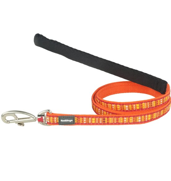 Kassitraksid ja jalutusrihm, disainmustriga Lotzadotz Orange (Red Dingo)