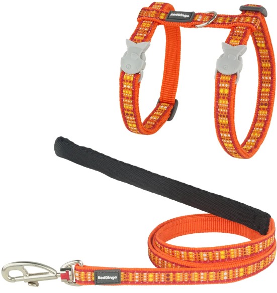 Kassitraksid ja jalutusrihm, disainmustriga Lotzadotz Orange (Red Dingo)