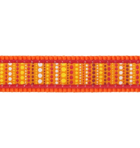 Kassitraksid ja jalutusrihm, disainmustriga...