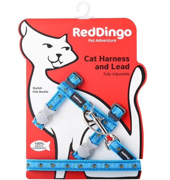 Traksid ja jalutusrihm kassile, disainmustriga Bumble Bee Turquoise (Red Dingo)