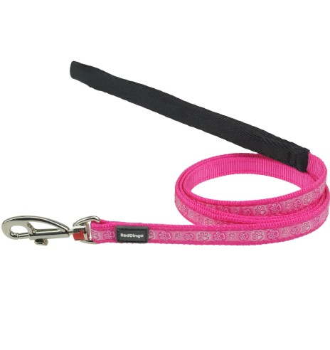 Traksid ja jalutusrihm kassile, disainmustriga...