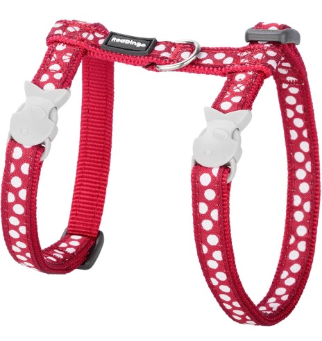 Traksid ja jalutusrihm kassile, disainmustriga...