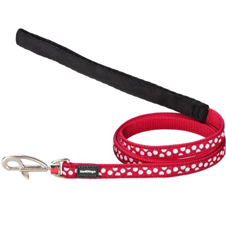 Traksid ja jalutusrihm kassile, disainmustriga...