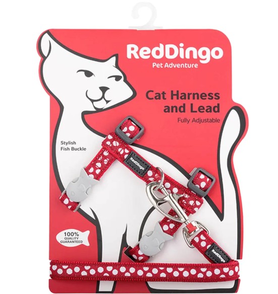 Traksid ja jalutusrihm kassile, disainmustriga White Spots on Red (Red Dingo)