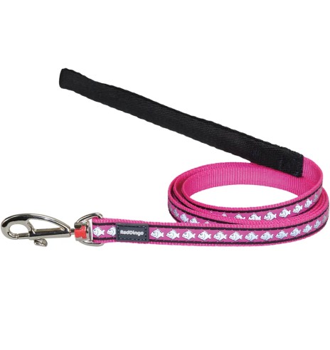 Traksid ja jalutusrihm kassile, helkurmustriga...