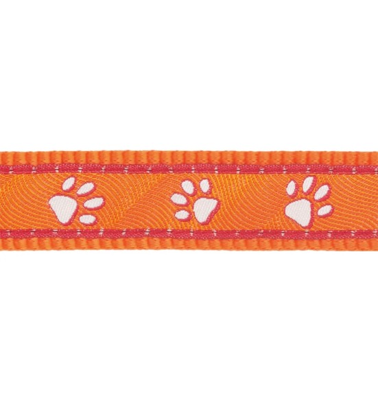 Kaelarihm kassile, disainmustriga Desert Paws Orange (Red Dingo)
