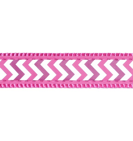 Kaelarihm kassile, helkurmustriga Reflective...