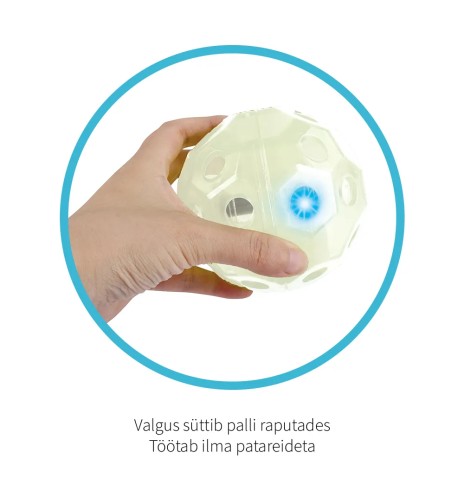 Koera mänguasi, valgustusega jalgpall, Light...