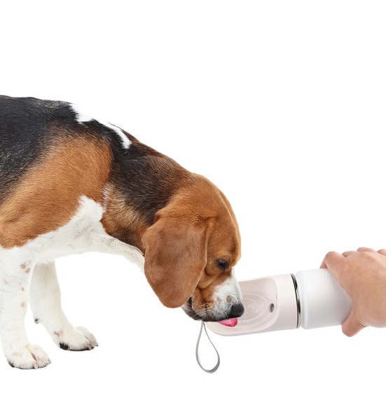 Koera joogipudel roostevabast terasest, 400 ml Stainless Drinking Bottle (AFP - Lifestyle 4 Pets)