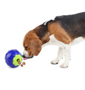 Игрушка для собаки, шарик для лакомства Giggle Treat Ball (Pawise) – Maiusepallid – Pawise – Valgekihv 2