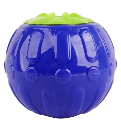 Maiusepall koerale Berry Treat Dispenser (AFP -...