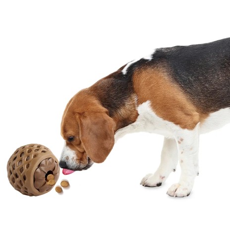 Koera maiusepall Pinecone Treat Dispenser (AFP...