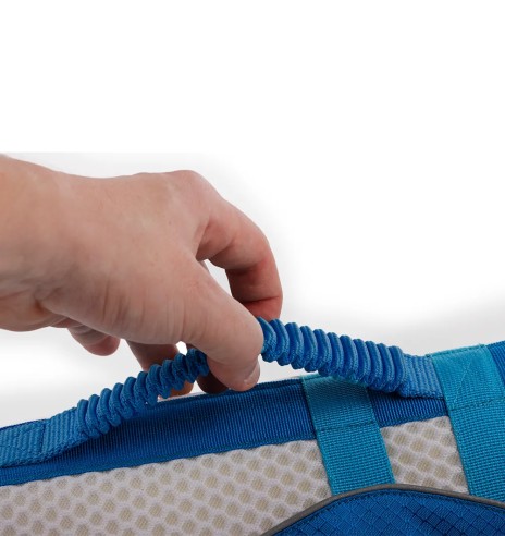 Koera päästevest (AFP - Chill Out)