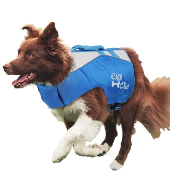 Koera päästevest (AFP - Chill Out)