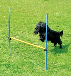 Agility