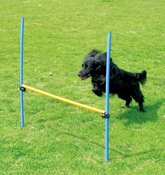 Agility спортивный барьер (Pawise)