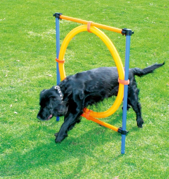 Agility обруч для прыжков (Pawise)